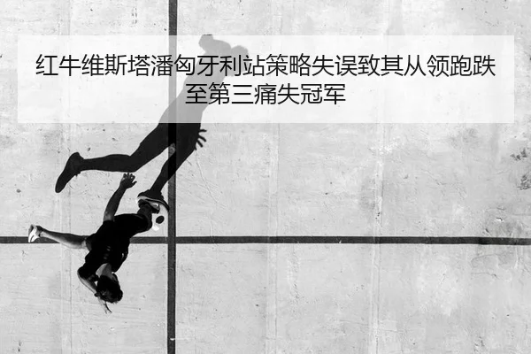 红牛维斯塔潘匈牙利站策略失误致其从领跑跌至第三痛失冠军（yaxin）