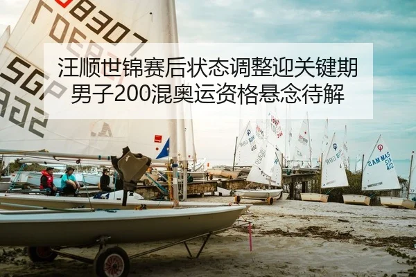 汪顺世锦赛后状态调整迎关键期 男子200混奥运资格悬念待解 - yaxin